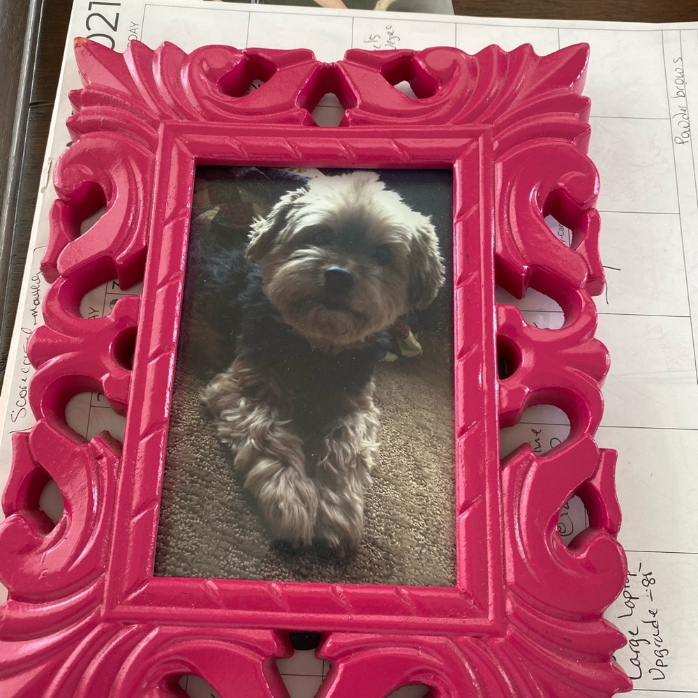 Meet your Posher, Kim